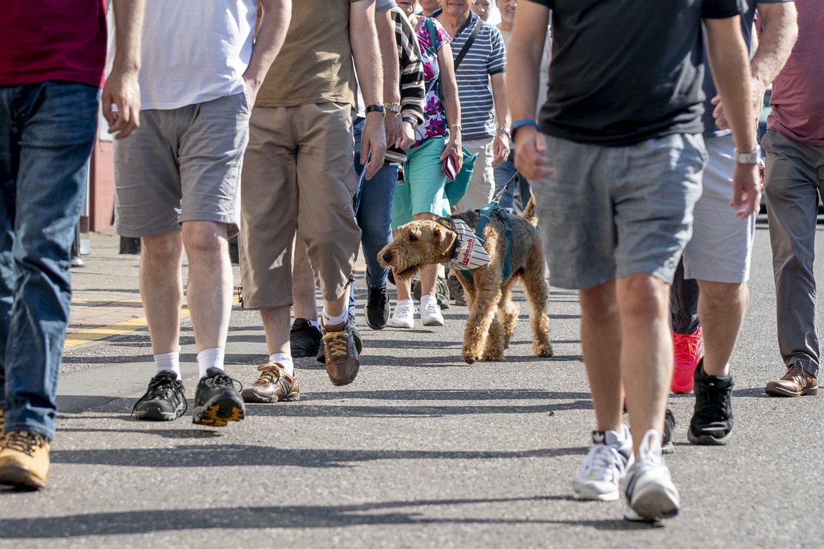 Join us tomorrow (Friday) for the @officialdafc & @parsfoundation walk and talk event as we go on our annual cherry blossom hunt. Meeting tomorrow in the Glen car park 10.00am. We hope this will improve your mood and improve your confidence and self-esteem. Open to all