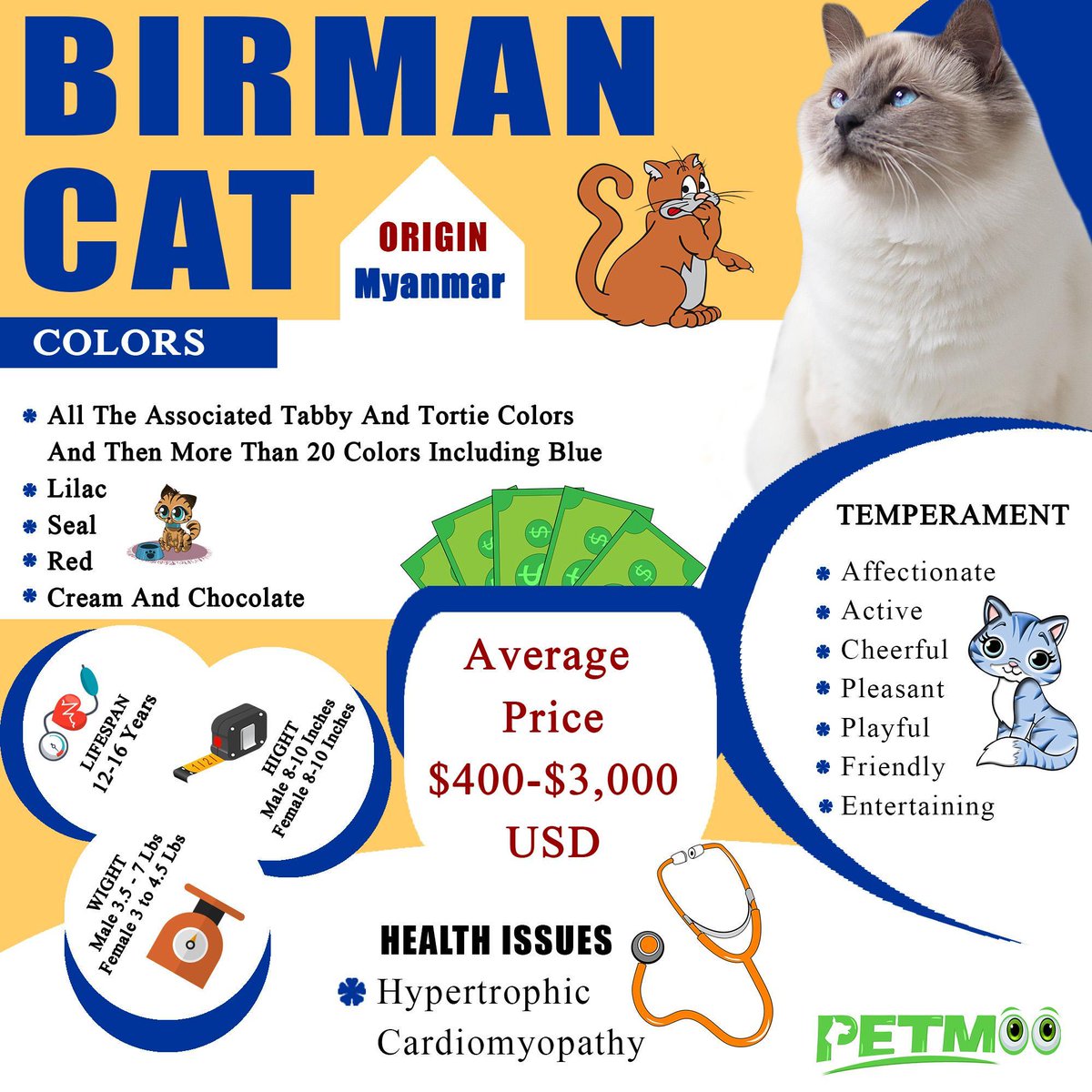 Birman Cat Infographic
Birman Cat Breed: Characteristics And Personality
petmoo.com/cats/birman-ca…
#petmoo #pets #cats #catbreeds #birmancat #birmancatbreeds #birmancatinfographic