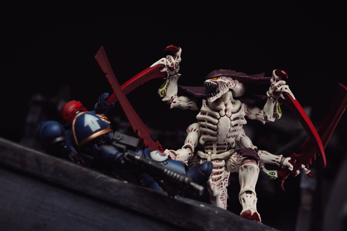 Tyranids
Hive Fleet Leviathan
#warhammer30k #warhammer40k #warhammercommunity #warhammer #joytoy #toyphotography #toy #toyphoto #actionfigure #actionfigures #joytoyactionfigures #joytoymecha