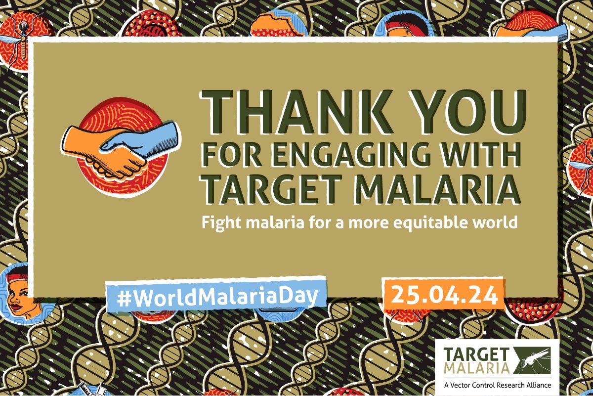 TargetMalaria's tweet image. It's #WorldMalariaDay! 🦟

This year, our campaign highlights the importance of #StakeholderEngagement for responsible research by sharing the voices of our stakeholders in Africa.

Read the blog by Yann Pablo Corminboeuf to find out more: targetmalaria.org/latest/news/ce…