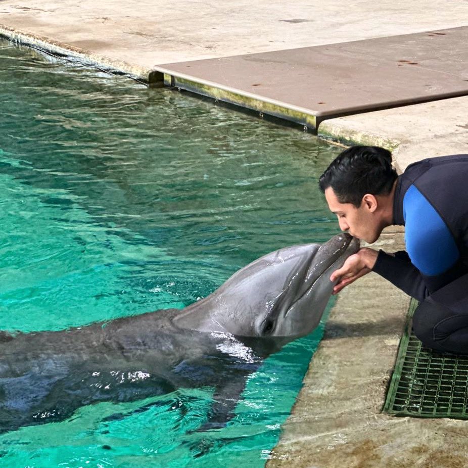My Potter Boy ❤️ This Dolphin Is My Entire Life! @SeaWorldAD #AbuDhabi #dolphintrainer
