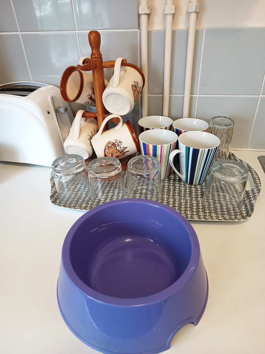 The @SUTranscription team each have their own favourite mugs, but if you visit us at the Centre, we have plenty of choice of mugs and glasses for our visitors. We also have a dog water bowl for four-legged visitors! 🦮 #GoGreenWeek2024 #SustainabilityTakeover