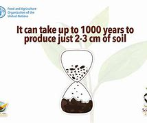 Write a letter to your leader in less than a minute, urging them to act now for a soil revitalization policy. Let us make it happen!   #SaveSoil #ConsciousPlanet #SaveSoilFixClimateChange #SoilForClimateAction #PlanetvsPlastics #EndPlastics #Earthday