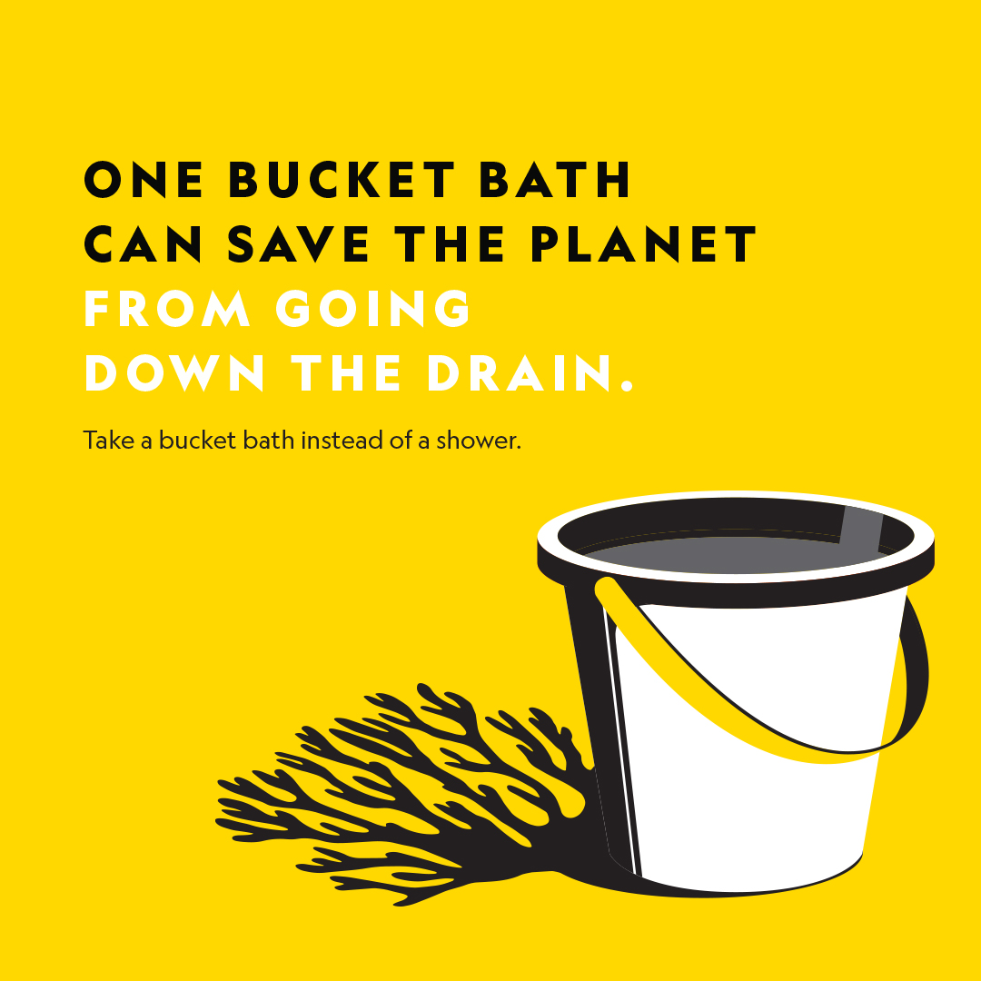 NatGeoIndia's tweet photo. One positive step can turn into a giant leap for the planet.
Let’s adopt sustainable practices into our daily lives & inspire others.
The Time To Act is Now! Adopt Sustainable Living. #OneForChange https://t.co/Ip11xedBZE