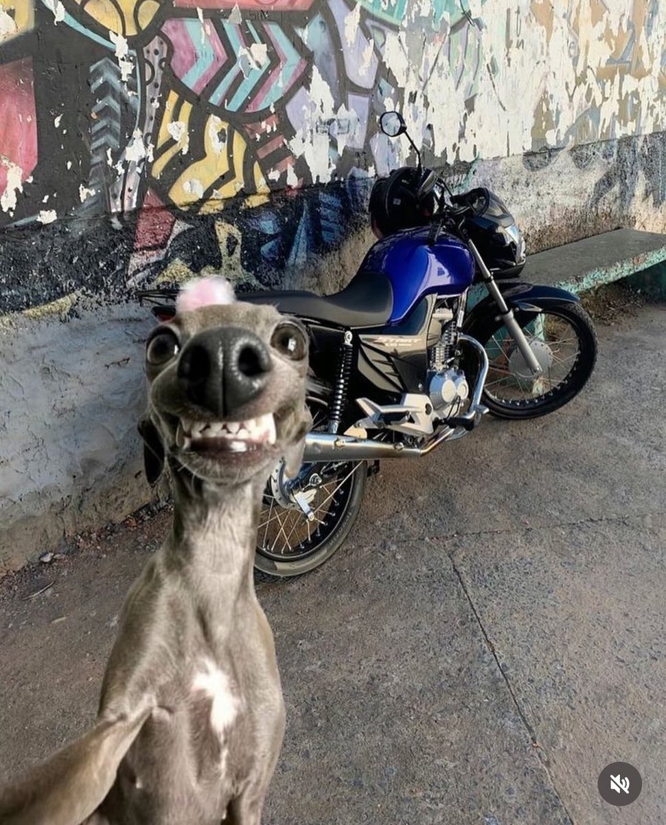 Daniela cuando le compren una moto: