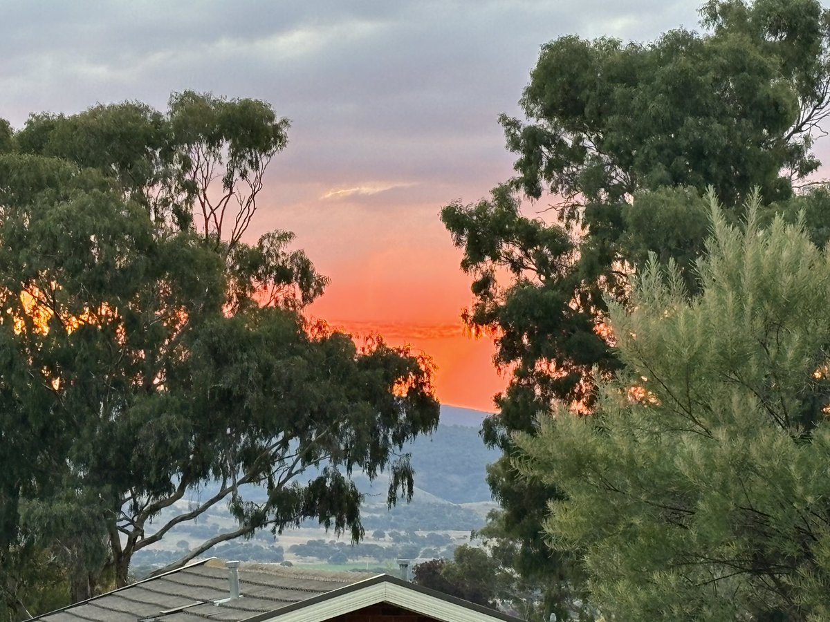 chifley_alison's tweet photo. Hazard reduction burn offs make for pretty sunsets through the smoke. #Conder https://t.co/70PtLyN5Ne