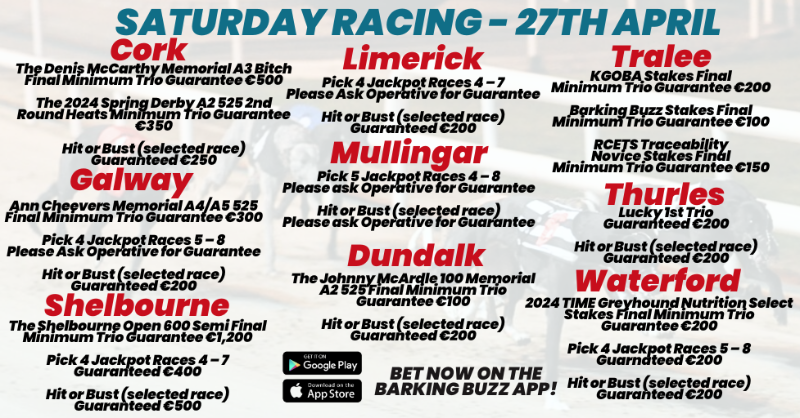 🏟️𝐒𝐀𝐓𝐔𝐑𝐃𝐀𝐘 𝐓𝐎𝐓𝐄 𝐆𝐔𝐀𝐑𝐀𝐍𝐓𝐄𝐄𝐒🏟️

🏆The Shelbourne Open 600 Semi Final @shelbournepark
⚡The Denis McCarthy Memorial A3 Bitch Final @CorkDogs
💶 FREE Bet for NEW customers

𝗕𝗘𝗧 𝗡𝗢𝗪 on #BarkingBuzz App
Or visit barkingbuzz.grireland.ie