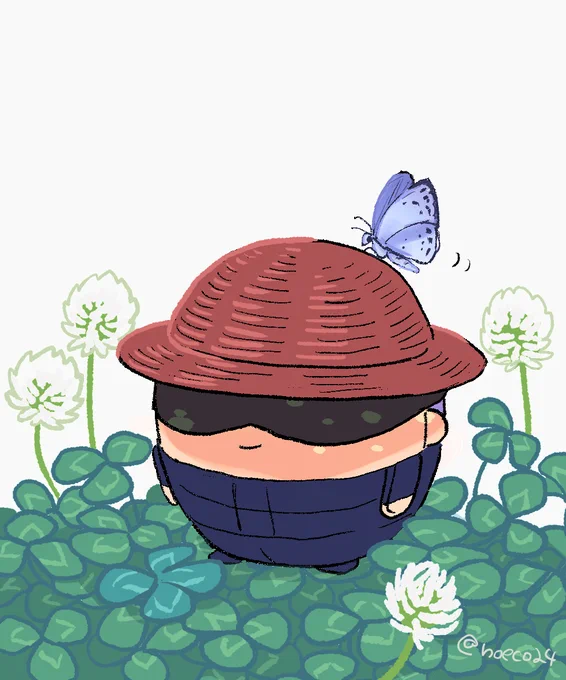 麦わらぼし始めました 