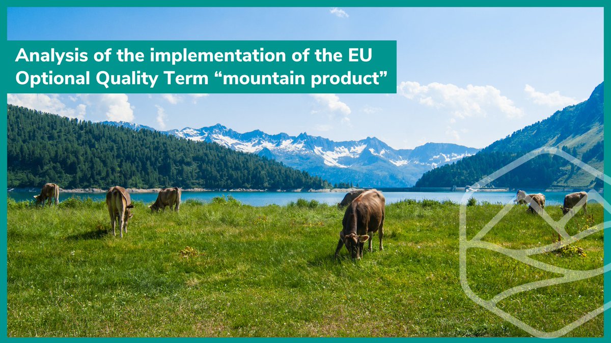 🆕 Insightful analysis of the EU OQT #MountainProduct by @arepoquality_eu @Euromontana & @highclere2018 as part of #MOVING2020! 🔍 It shows high producer satisfaction & identifies key challenges to enhance this scheme for mountains. Check the findings ⏩ bit.ly/4ba9Ual