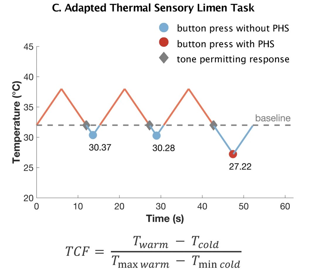 🔥 Ever wondered why you feel warm when you touch something cold ❄️? A fascinating new study by @bpplab_au, out now in @CommsPsychol, reveals that thermal contrast sensitivity may unlock the century-old mystery of paradoxical heat sensation. nature.com/articles/s4427…