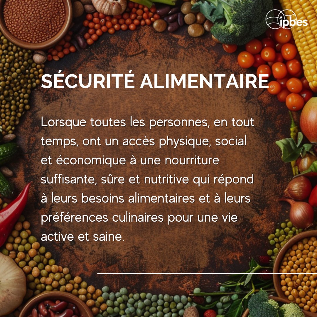 🌽🌡️Températures croissantes, vagues de chaleur, sécheresses & événements extrêmes dus au #ChangementClimatique impacteront négativement les rendements agricoles et la sécurité alimentaire. —@IPBES Éval. #DégradationDesTerres Que signifie '#SécuritéAlimentaire' selon @IPBES?⤵️