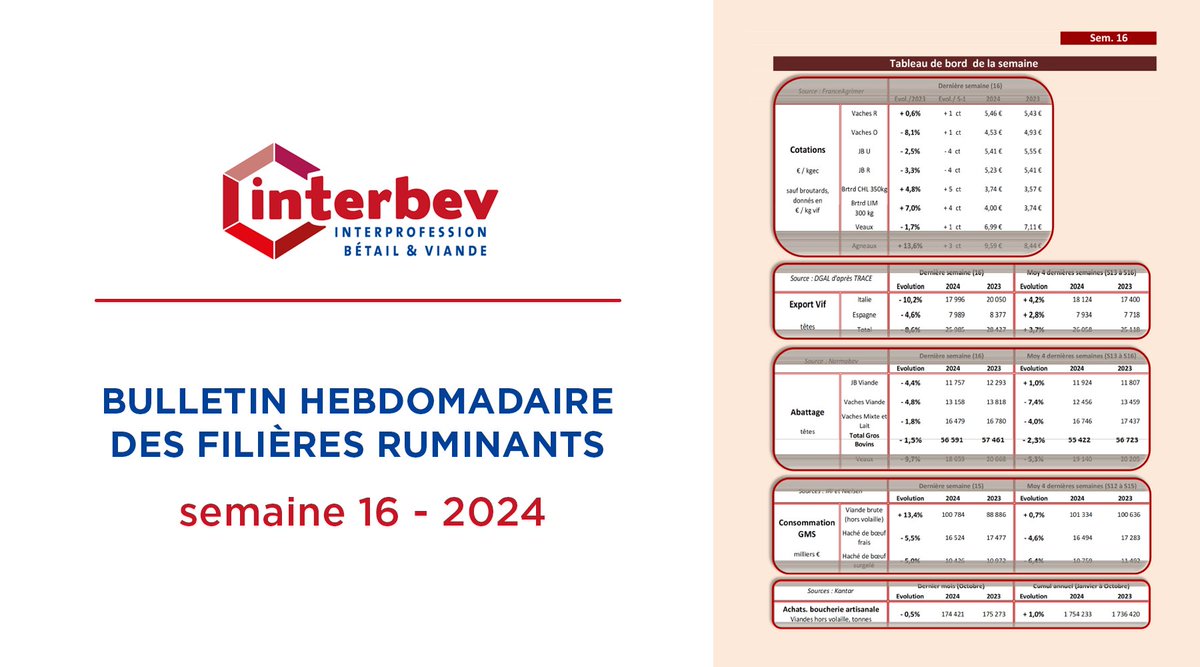 [Bulletin Hebdo des Filières Ruminants] Le RDV #Économie INTERBEV : consultez les chiffres-clés de la filière #Élevage et #Viande pour la semaine 16/2024. ➡️ bit.ly/Interbev_bh_16…