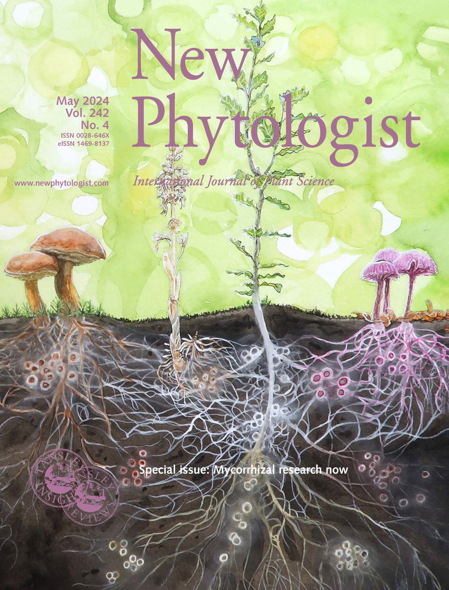 📢 Announcing our latest SPECIAL ISSUE!

Mycorrhizal research now: from the micro- to the macro-scale

📚 ow.ly/9PjG50RnNWi

🍄 The #mycorrhizal symbiosis: research frontiers
🍄 Microbe-dependent and independent nutrient acquisition 
🍄 The #hyphosphere core #microbiome