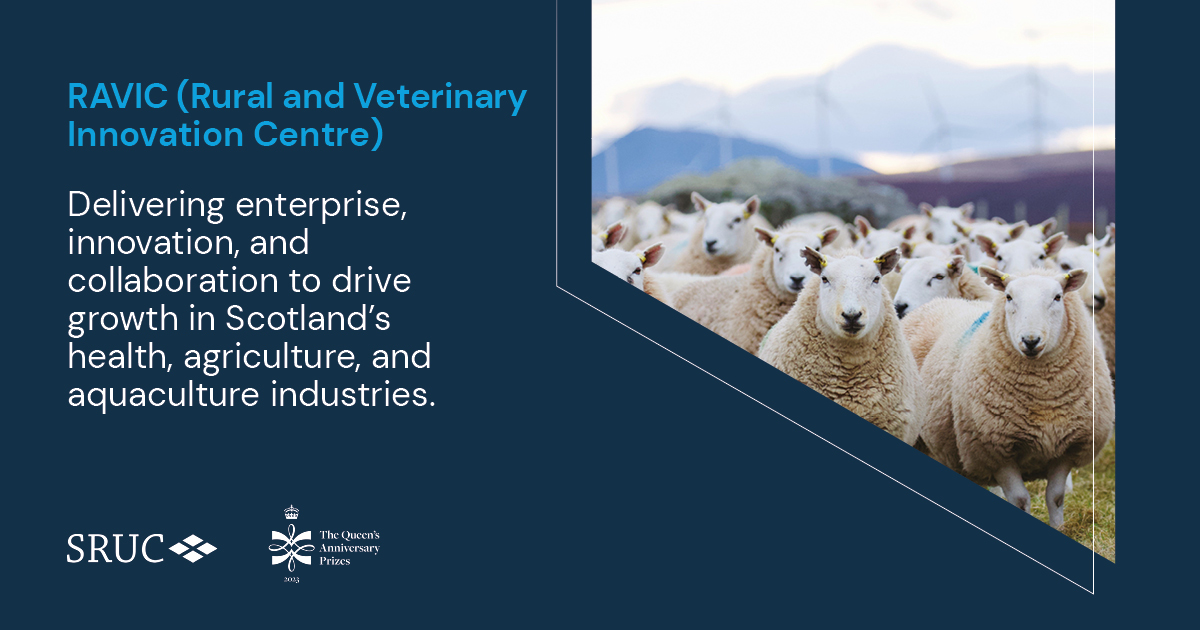 CULTIVATING AGRICULTURE | #RAVIC provides a base for @ConsultingSAC in #Inverness providing independent, research-driven, industry-leading expertise, advice and solutions for agricultural, food, and land-based businesses.

Discover what RAVIC can do: issuu.com/sruc1/docs/104…