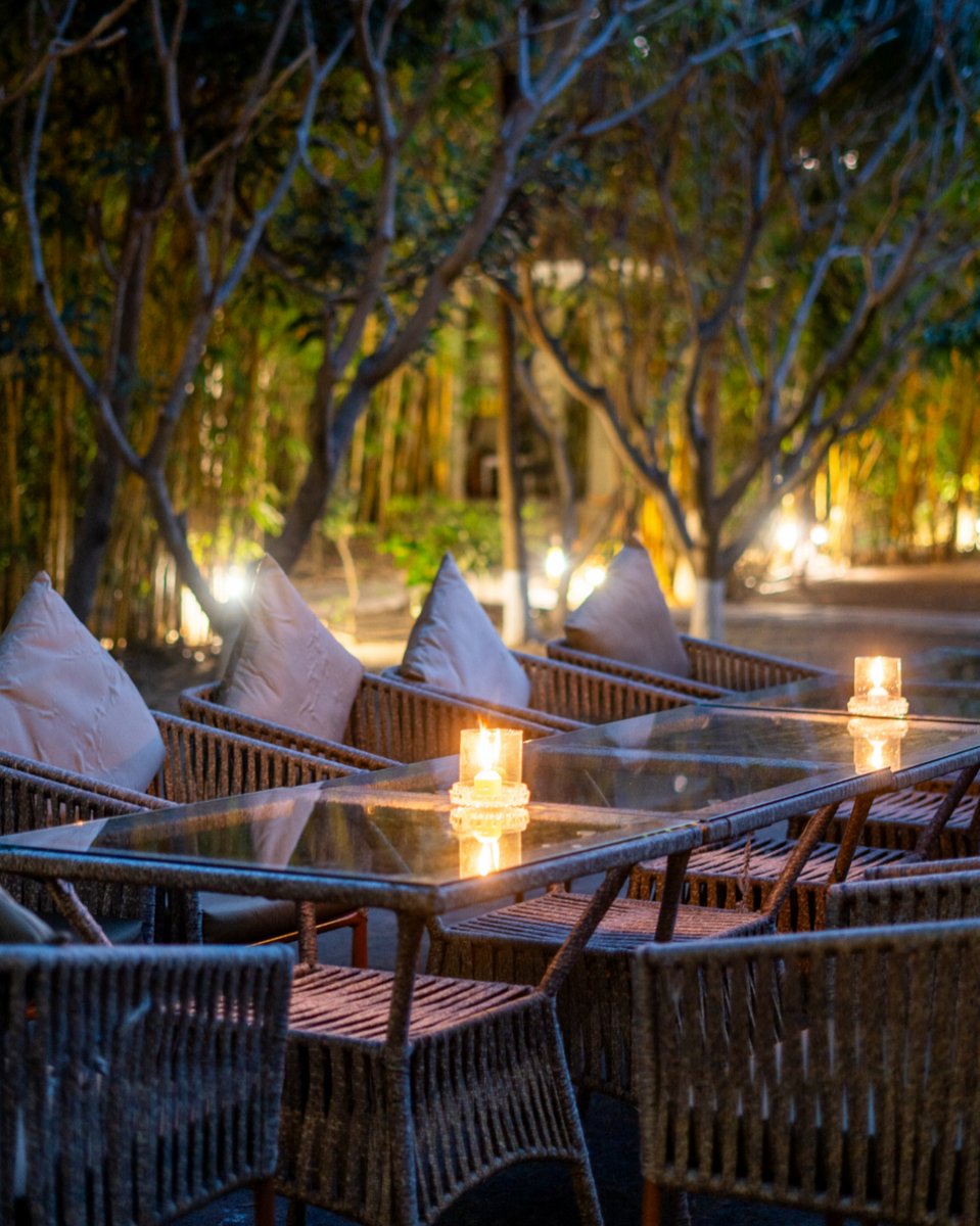 Our spacious surroundings are designed to create an inclusive environment where you can immerse yourself in the beauty of the wilderness and share unforgettable safari stories with fellow guests.

#penchjunglecamp #madhya Pradesh #wildlife #india #safari #nature #jungleresort