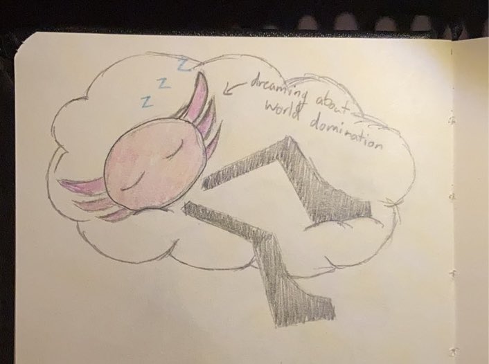 Boop_The_Noodle's tweet photo. Mediocre sketches of Kinito ( I post them here cuz I have no where else to post hehe) #kinitopet https://t.co/yaIiyGFR6m