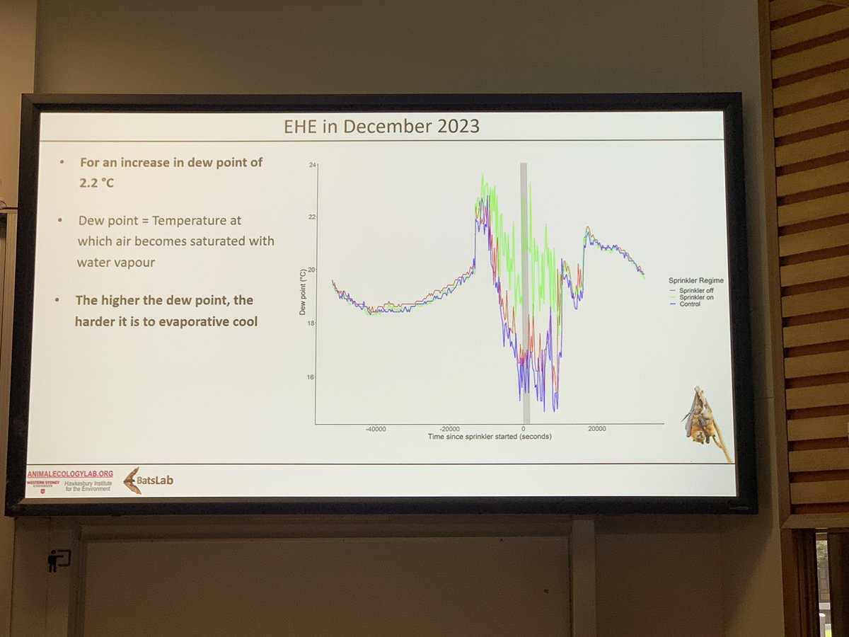 Heat waves are becoming more common. <a href="/SamanthaYabsley/">Samantha Yabsley</a> shows 23% of flying fox species will likely be exposed to increasing heatwaves. Can sprinklers help reduce heat stress? #AusBatSoc2024