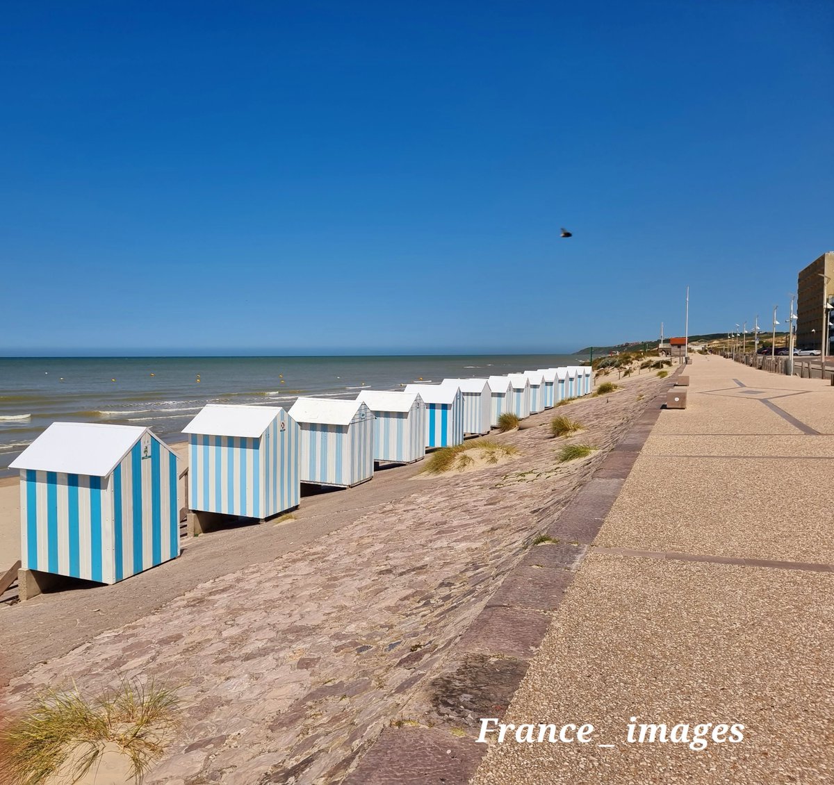 The beach at Hardelot Plage 

 #France 🇨🇵 #travel #photo