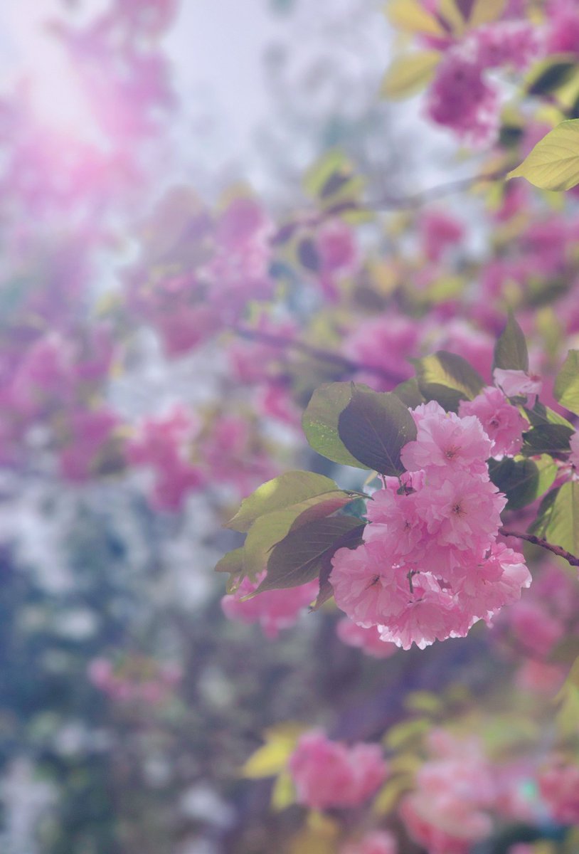 1004_wony's tweet photo. https://t.co/cqDNJWKyPJ