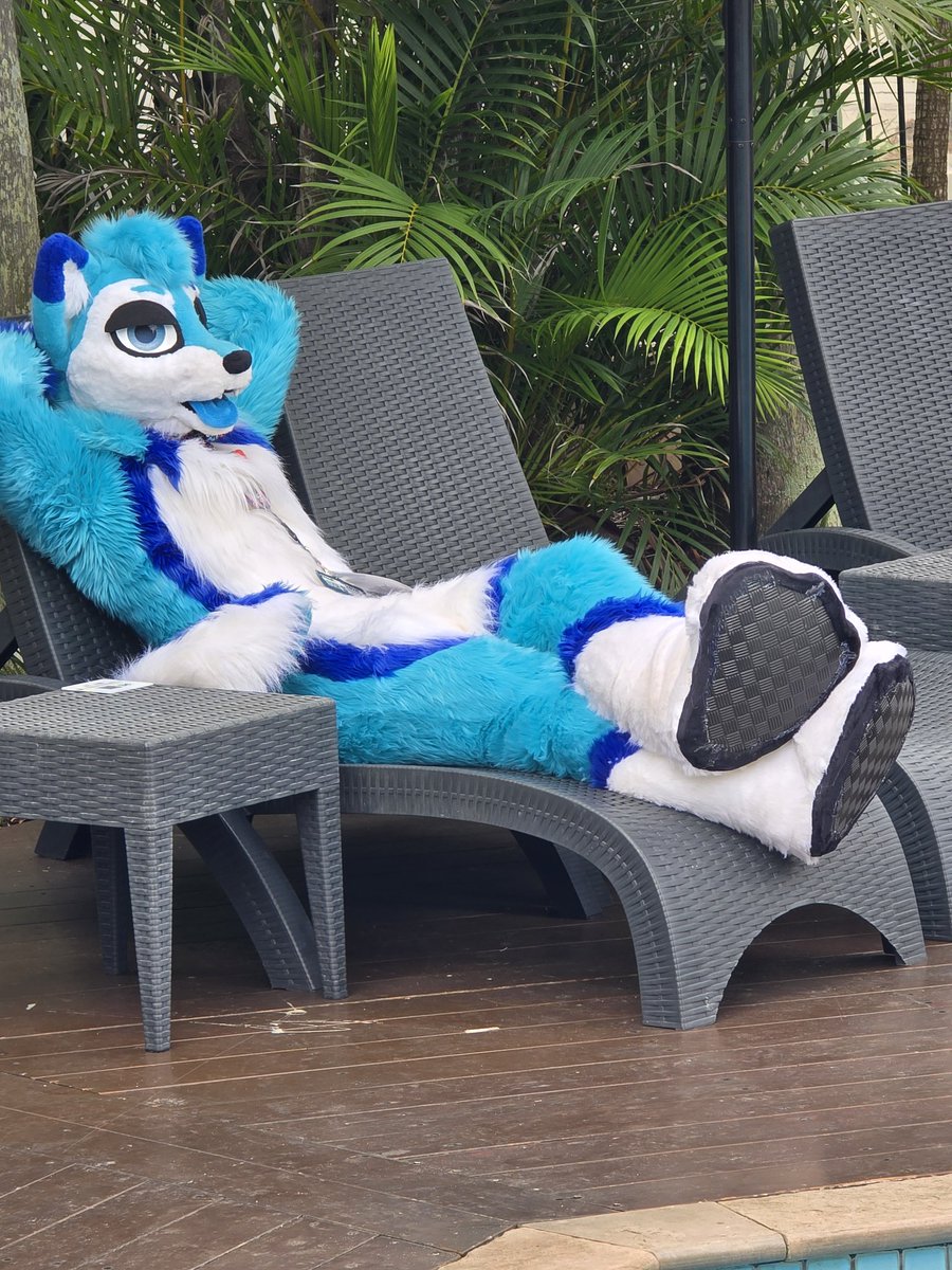 Mikewolf2018 tweet picture