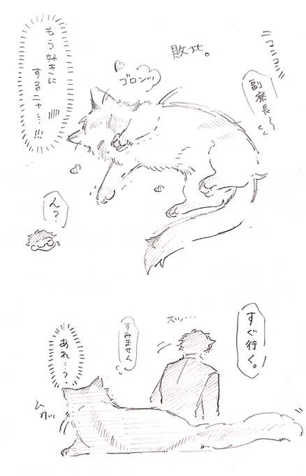 猫の魔力を無効にする男 猫ちゃんトレジェイ 