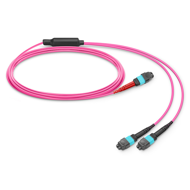 Upgrade your fiber cabling system with our MTP®-24 (Female) to 2 x MTP®-12 (Female) OM4 Multimode Conversion Harness Cable! 🚀💪 Boost your network performance and flexibility. Check it out: fs.com/products/16584… #fiberoptic #Connectivity