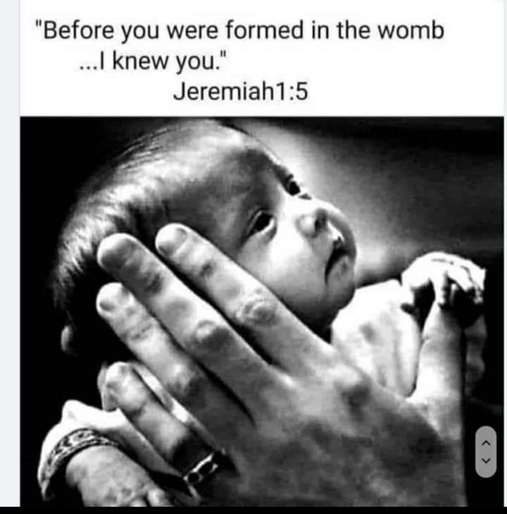 ManetteJust's tweet image. #Christian #ProGod #ProLife