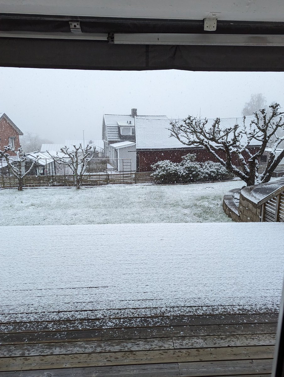 Säger som Arne Anka; Bor vi i ett land eller i ett skämt?

Det vräker ner snö, vilket inte syns här...
Måste rota fram ungarna vinterkläder för andra gången...