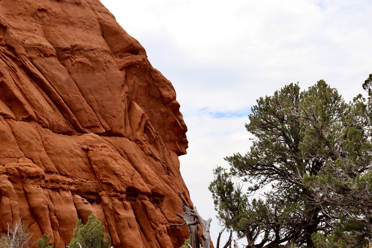 From my hikes...

I was hiking a trail in the Kodachrome Basin State Park, and I suddenly figured out that the guardian was there. Do you see someone in the rock?

Utah - 2023

Have a good day!

#hiking #hikingadventures #nature #naturelovers