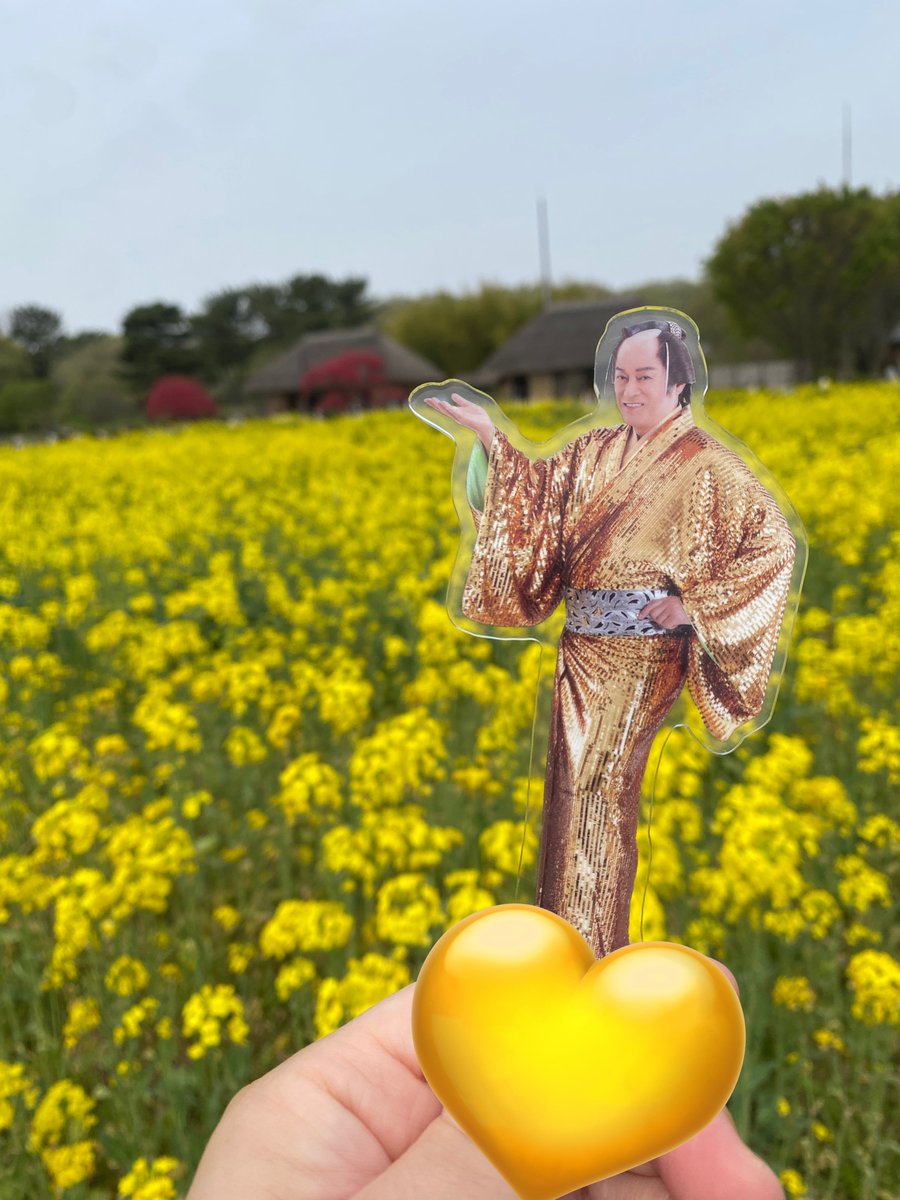 masa_ini_ya's tweet photo. ネモフィラが満開できれいだった♡ https://t.co/fKmDY7Udv5