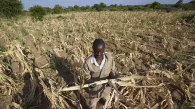 El Nino not climate change driving southern Africa drought: Study timesofindia.indiatimes.com/home/environme… via @timesofindia 

#CO2capture  #sequestration
#ClimateChange #Adaptation
#Airpollution
#WasteManagement
#ClimateChange
#GreenhouseGases