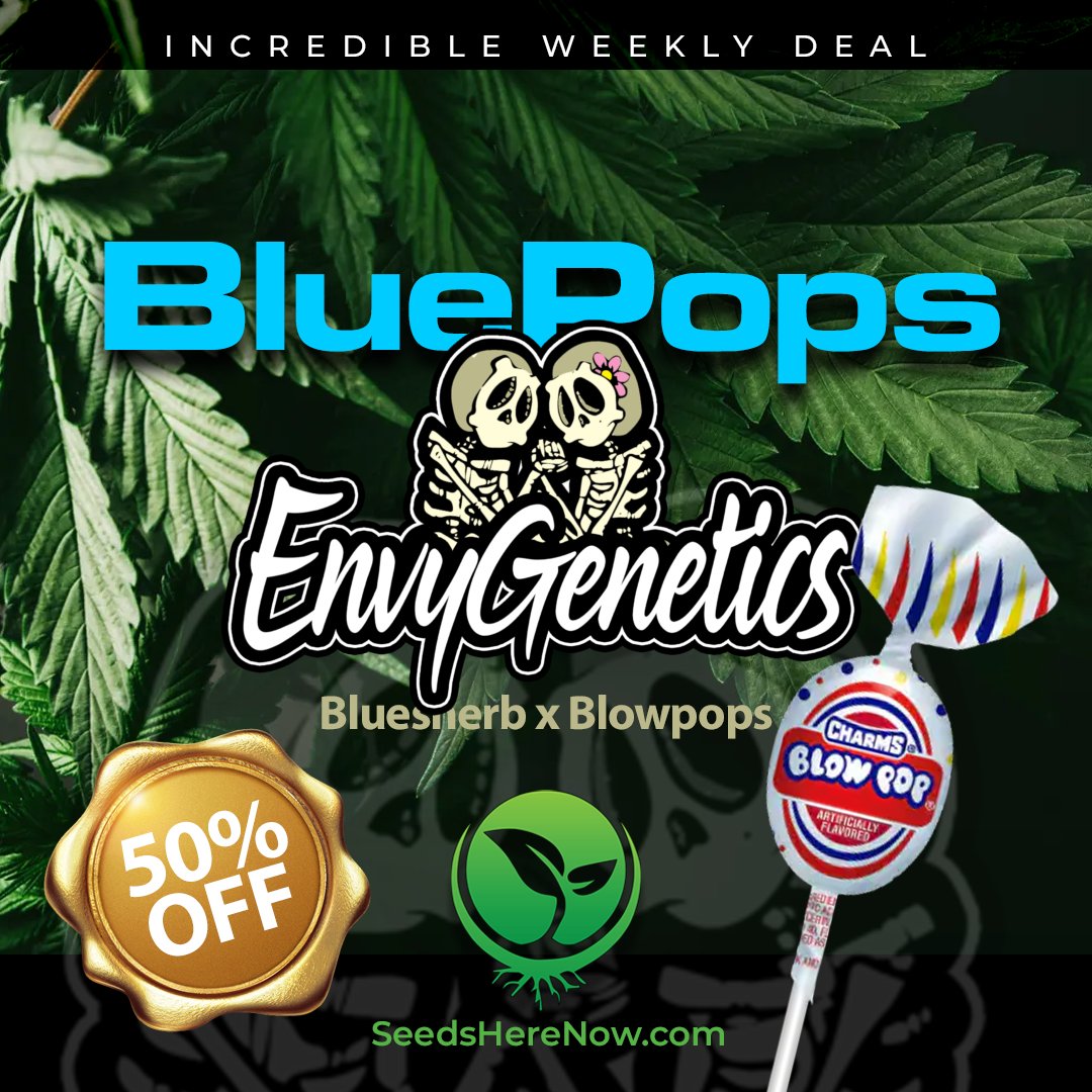 Envy Genetics is universally known for their exhaustive pursuit of innovation and quality that is second to none. NOW 50% OFF! Grab Yours: bit.ly/SHN-BluePops

#seedsherenow #growbudyourself #CannabisCommunity #cannabislife #420friendly #420Life #cannabisgrowers