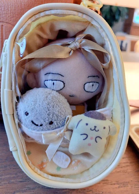 渡したよ!!!ハチャメチャ喜ばれたビビった!!!!!!!(すぐびびる) 速攻で持ち歩き用のぬいバッグ買ってたのすごくじわった。 かわいいね…良かったねちいさきもの…
