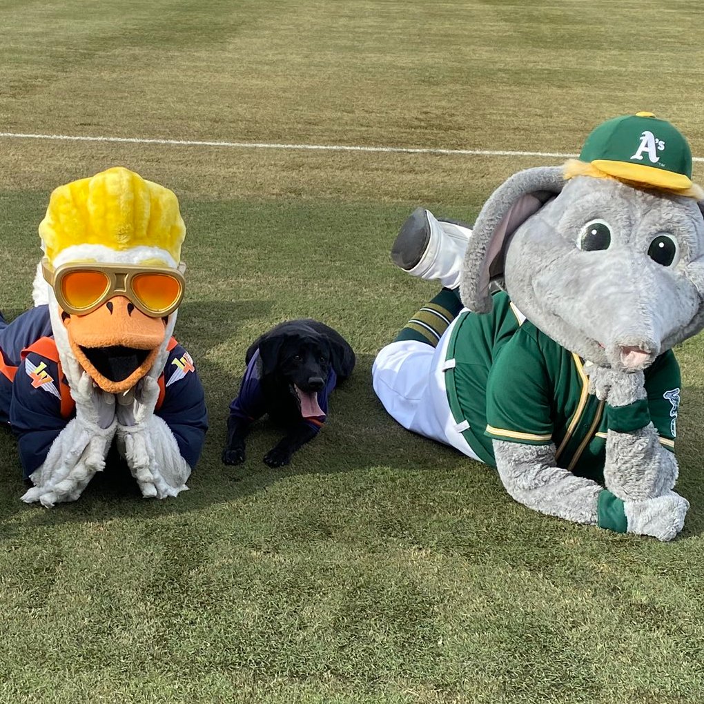 AviatorsLV tweet picture