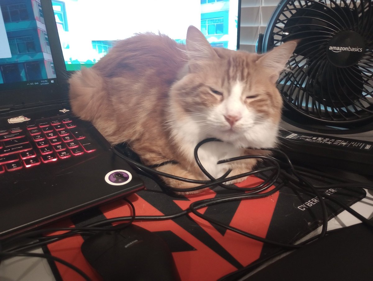 Taro doing his best to help with tech support