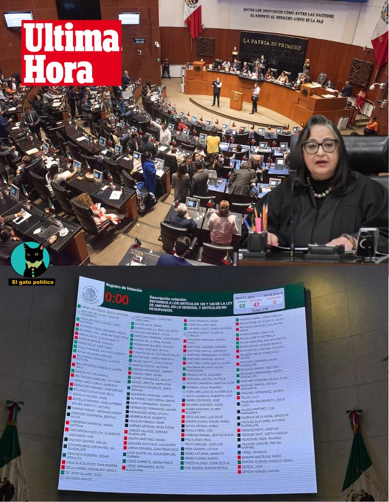 elgatopolitico_'s tweet photo. 🔴🔴Última hora. Golpe a Norma Piña.
Con 69 votos a favor y 42 en contra en el pleno del Senado, Morena se impone y aprueba en lo general reformar la Ley del Amparo en México.

Con esta reforma lo que se busca  es suprimir la facultad de los jueces federales para suspender leyes o reformas impugnadas a través de juicios de amparo.
La Ley del amparo comienza ahora a discutirse en lo particular. 🥁🥁