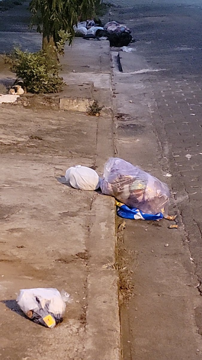 fredisacs's tweet photo. Ya se les hizo costumbre... Que lindo! Otro día sin pasar la basura... Le pedimos al cro. @Armas2Enrique que nos eche una mano! Pobladores del Barrio El Edén... https://t.co/5aWFst8dTK
