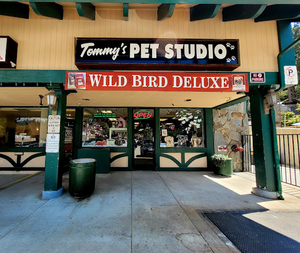 Tommy’s #Pet Studio - Lake Arrowhead Live 

Super things for #dogs #cats #birds #fish #pets #CheckItOut

#LakeArrowhead #California #SoCal #Mountains #travel #vacation #staycation #trips  

Lake Arrowhead Live LakeArrowhead.us

&gt;&gt;lakearrowhead.us/ads/places/tom…&lt;&lt;