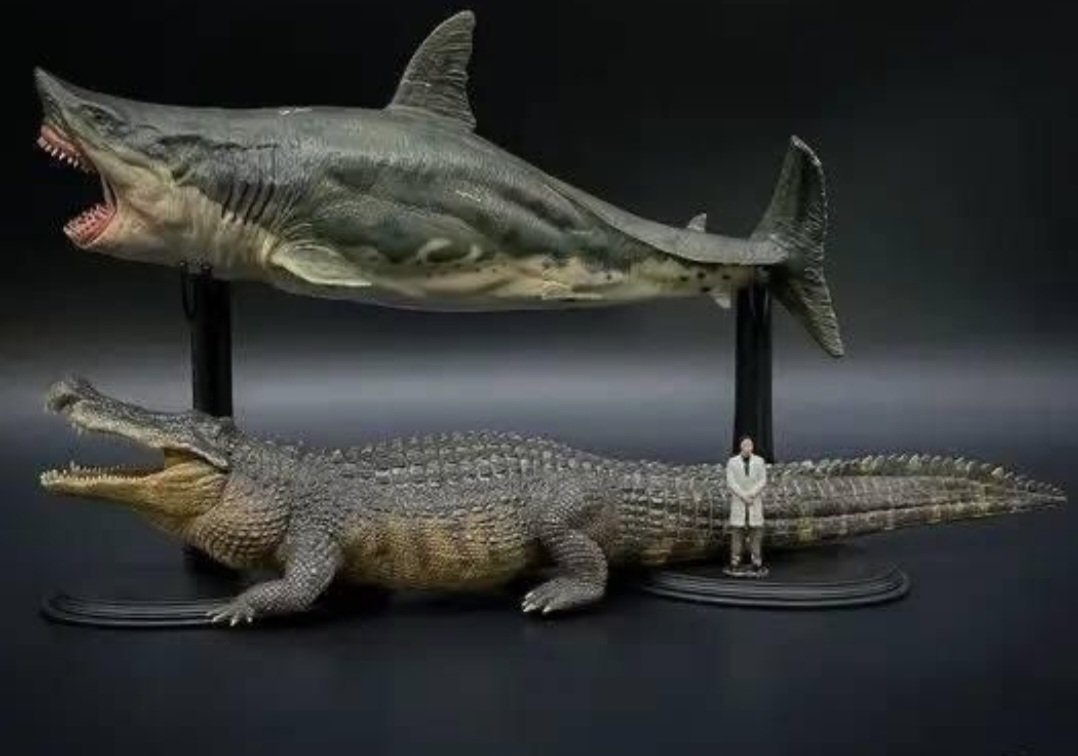 El Otodus Megalodon, y el Deinosuchus comparado con el humano.