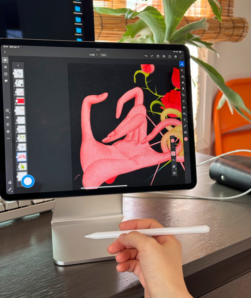 kior_____'s tweet image. Gm🌹