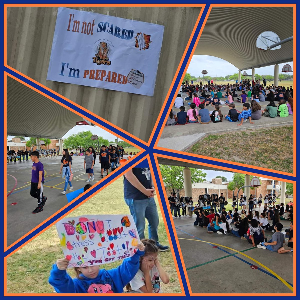 yeager_ccisd's tweet photo. Our Tigers were ready to show what they know today! Thank you, Carroll High School Drum Line, Cheerleaders, and Tigerettes, for helping us cheer them on at our STAAR Pep Rally!  #ccisdstrongertogether #TigerPride https://t.co/dx7we9a7Rp