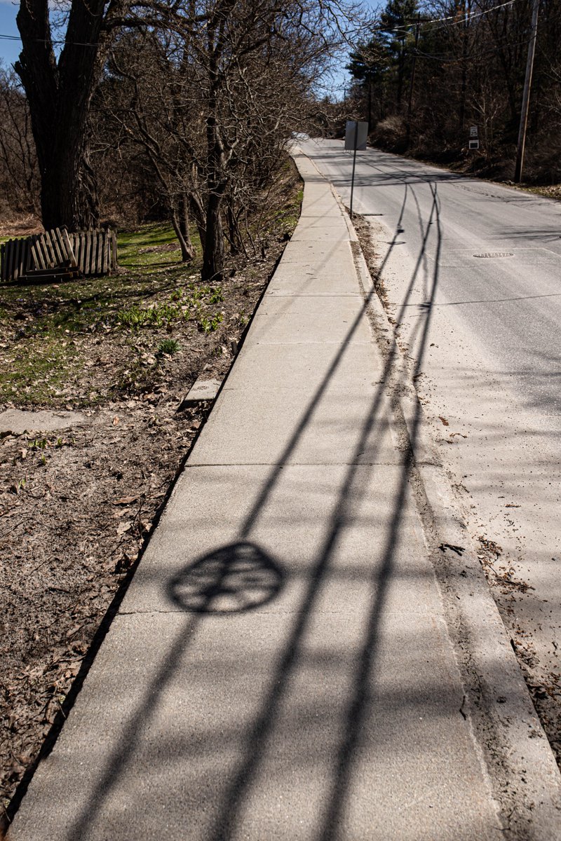 Powerlines fotogosaurus.wpcomstaging.com/2024/04/18/pow… #VT #Vermont #NewEngland #Powerlines #Shadows #Sidewalk #MainStreet #Walking #moment #think #reflect #StreetScene #Street #OutInTheStreet #StreetPhoto #StreetPhotography #Sigma #Canon #wonder #Remember #April
