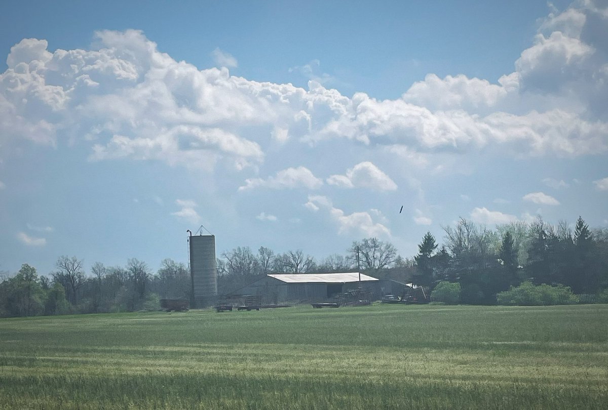 Katie Blair tweet media