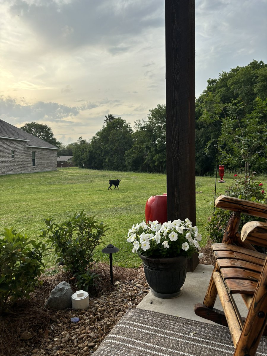 Just sitting on my front porch….. beautiful evening, but not much of a sunset!