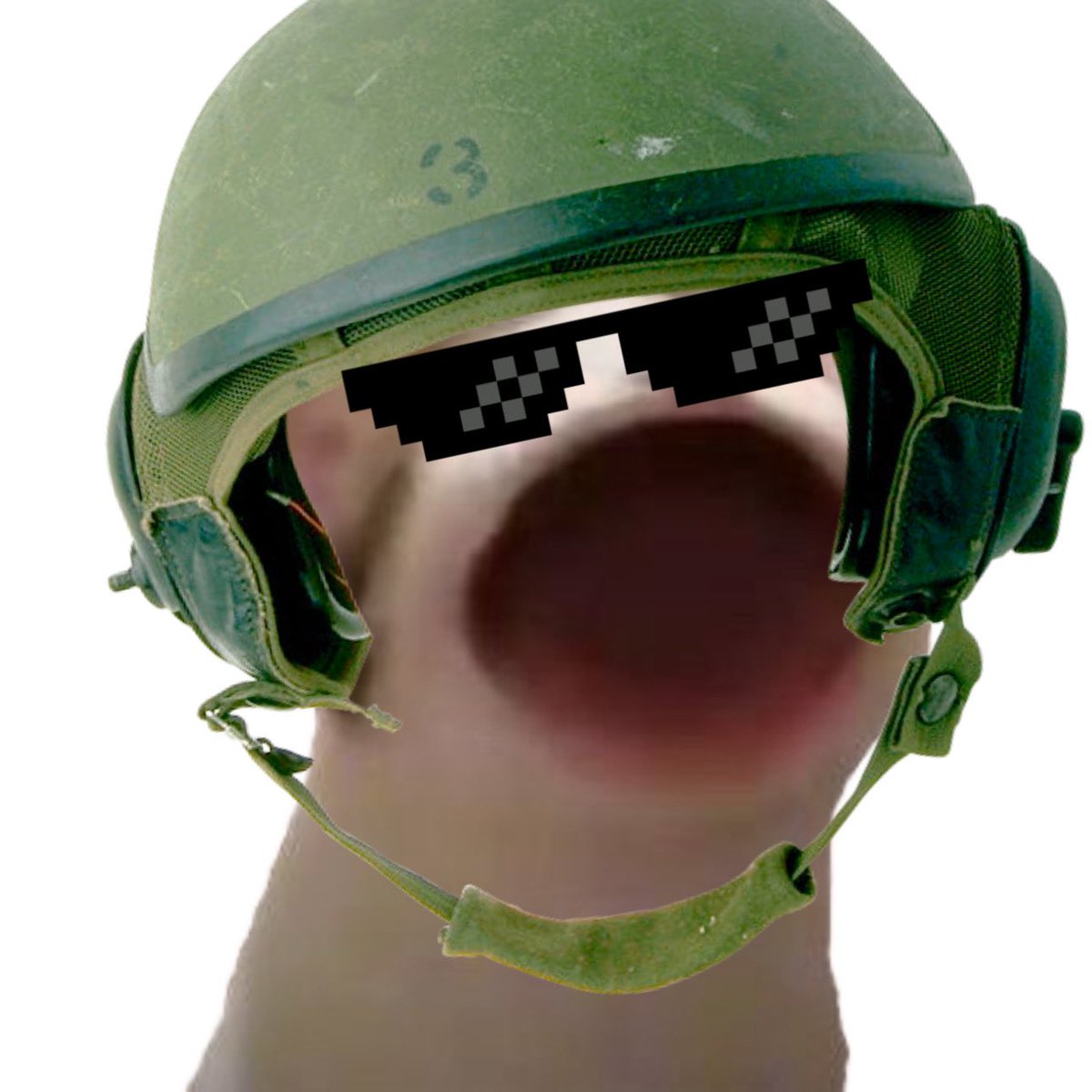 WarWifCats tweet media