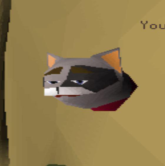 hoejhus9's tweet photo. When the #crypto community finds out How Cat aligned #Osrs is $GP ๐๐
@osrsgoldsolana
#meme #cat #rsmemes #web3 https://t.co/jbZ7MJq41e