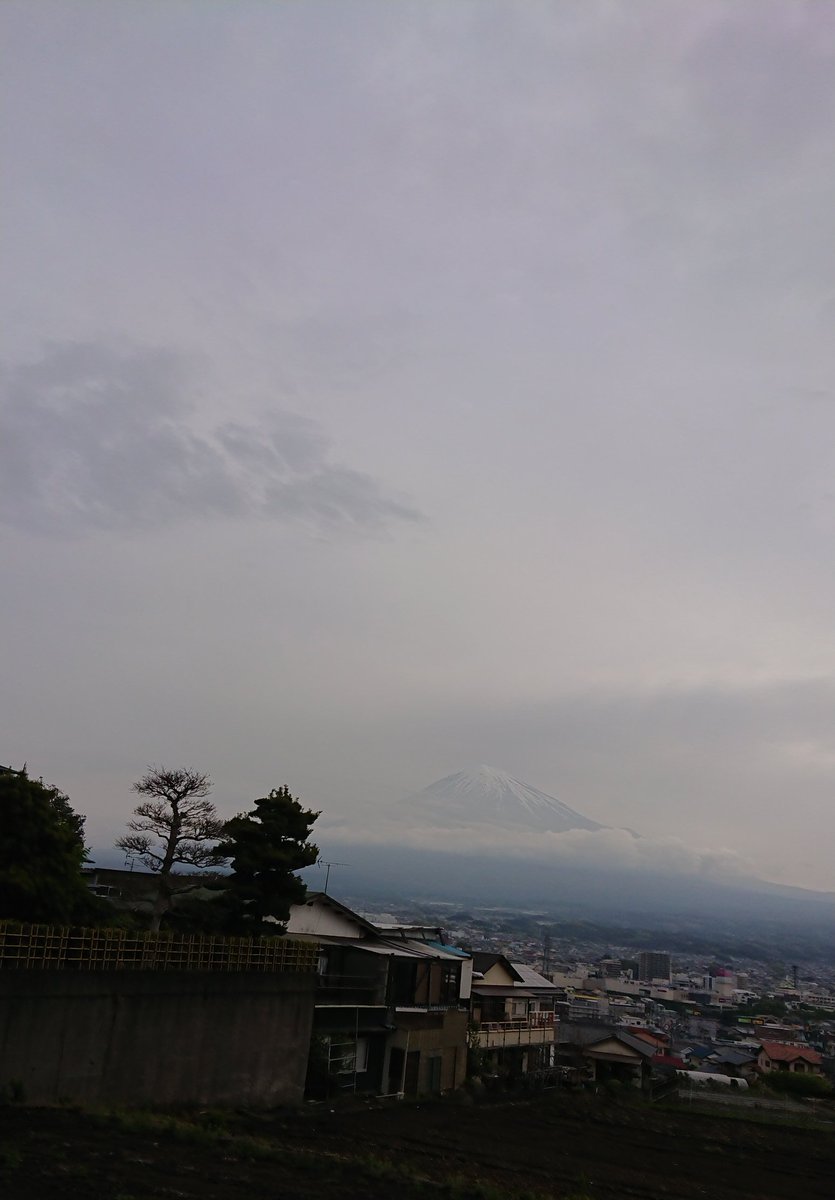 同化してるぜ‼今朝のMt,FUJI🌫🌫🗻🌫🌫

なんかちょっと既に夏バテ気味😮‍💨

木曜日
皆さま本日もどうぞお健やかに✨

 #FUJIYAMA
 #濃い春霞