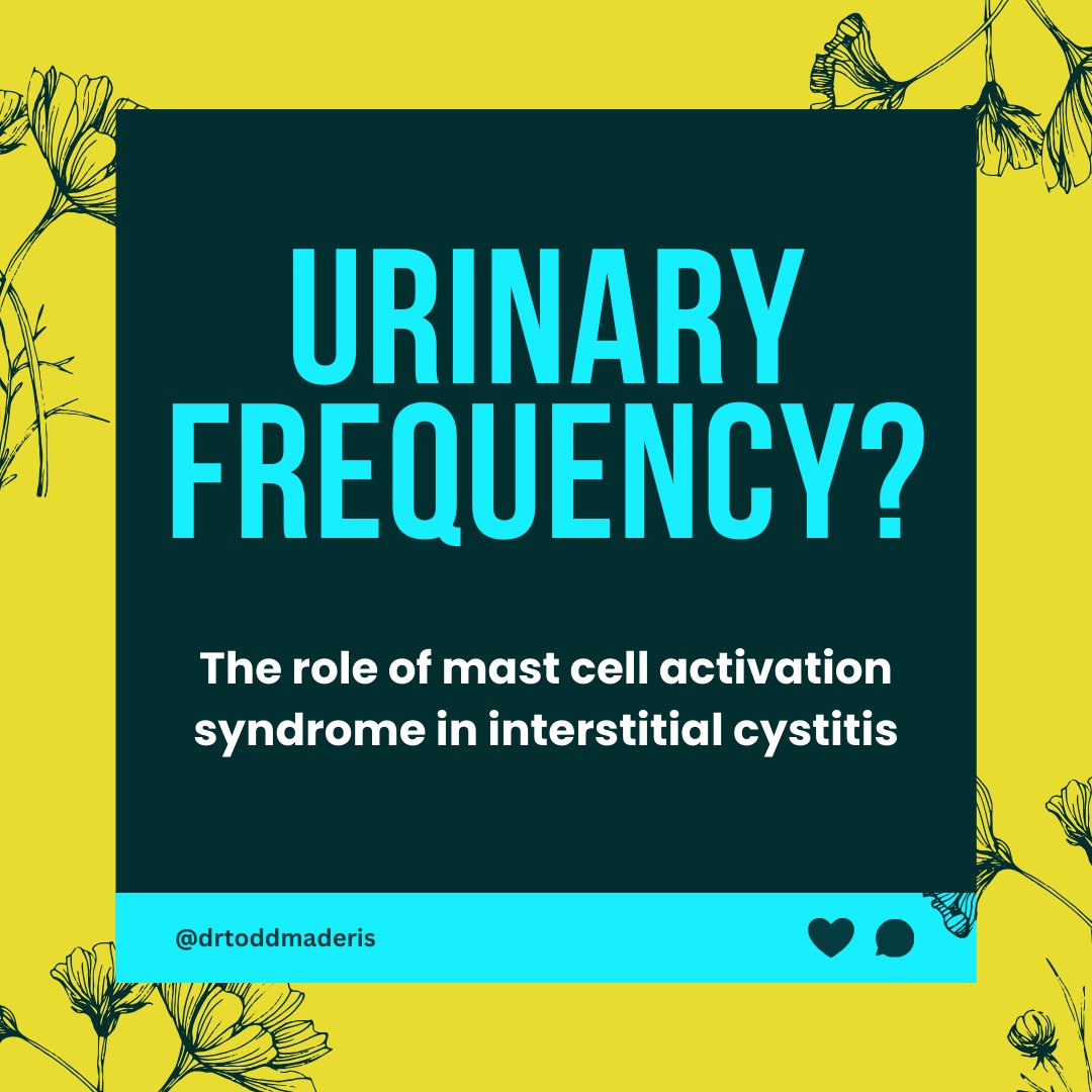 Urinary frequency? The role of mast cell activation syndrome in interstitial cystitis

In recent weeks, I have seen multiple patients with #urinaryfrequency symptoms. The symptoms affect daily activities, including nighttime waking. Prior testing for urinary tract infections was