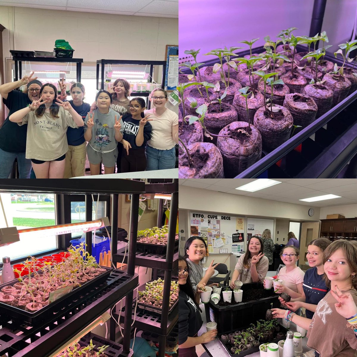 There is a collaboration with <a href="/wegrowfoodosh/">WeGrowFoodOshawa</a> and students from <a href="/ddsbschools/">Durham District School Board (DDSB)</a> @portperryhsrebels, <a href="/brockhighschool/">Brock High School</a> , <a href="/Waverly/">John T. Harwood</a> and residents from <a href="/Lakeview/">Lakeview</a> Neighbourhood,   hundreds of seedlings are being grown for over 70 school gardens around <a href="/RegionofDurham/">Region of Durham</a> Region 
@