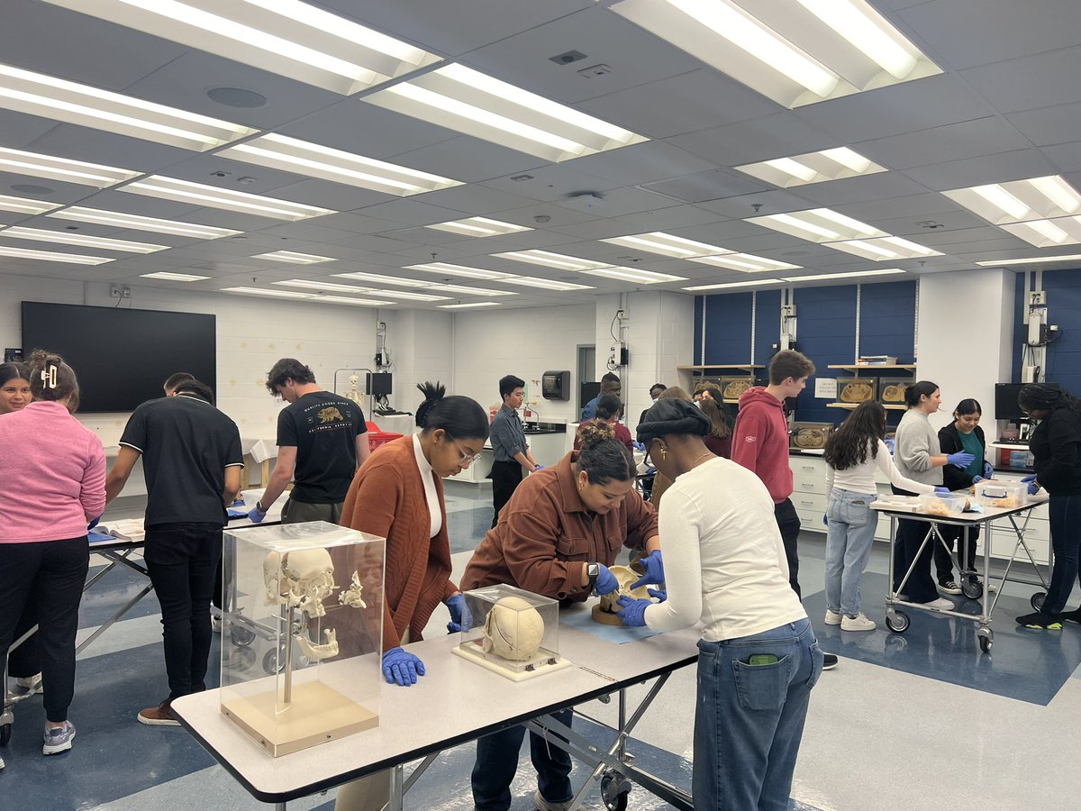 Emily Y. Fan, MD tweet media